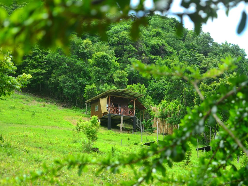 Cabaña en la montaña con plato de comida casera y senderistas.