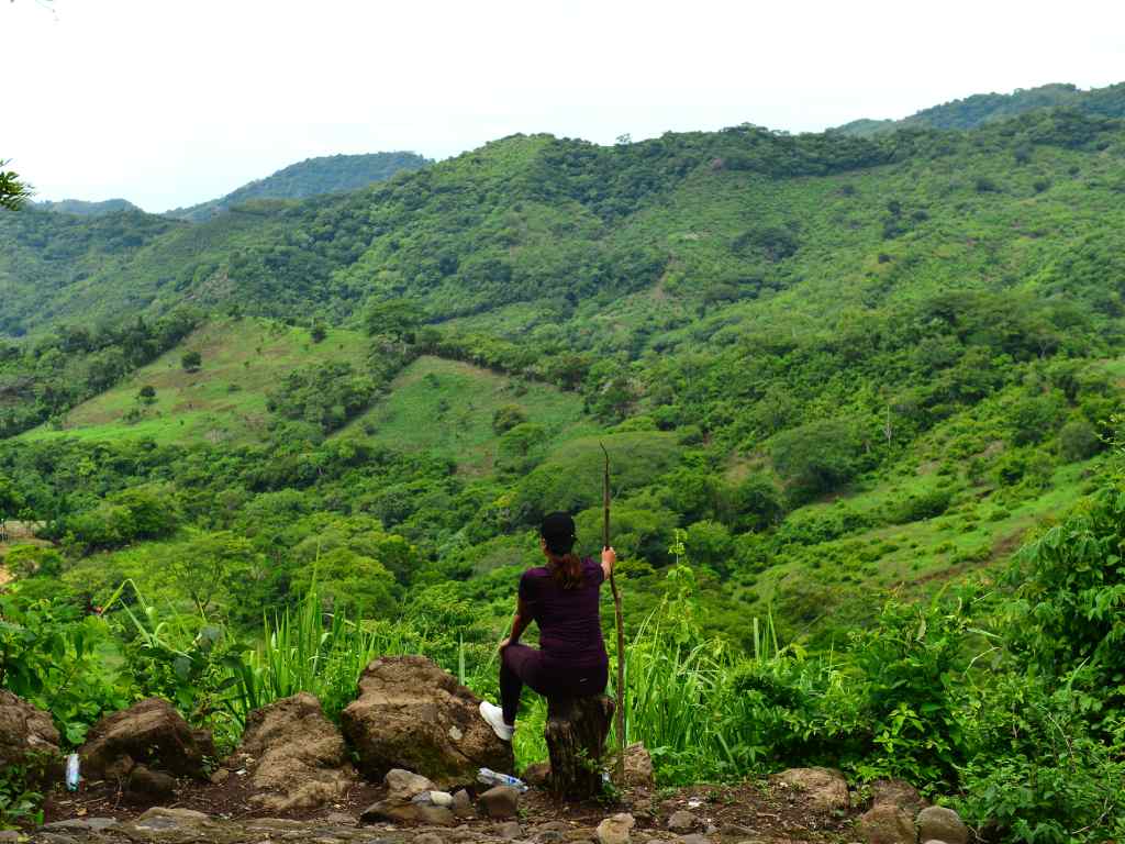 Senderistas caminando por un trayecto de tierra empinado rodeado de vegetación.