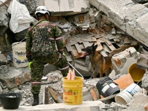 Perro- Rescate- Terremoto- Colombia- Labores- Bomberos