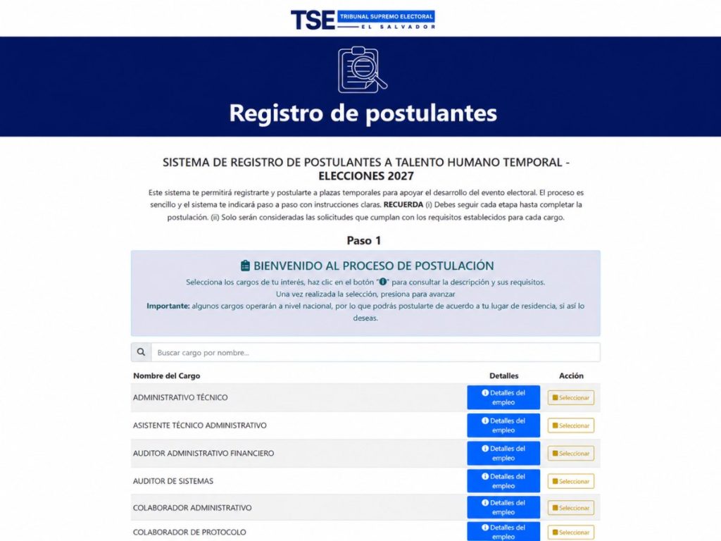 Sitio-web-tse-plazas