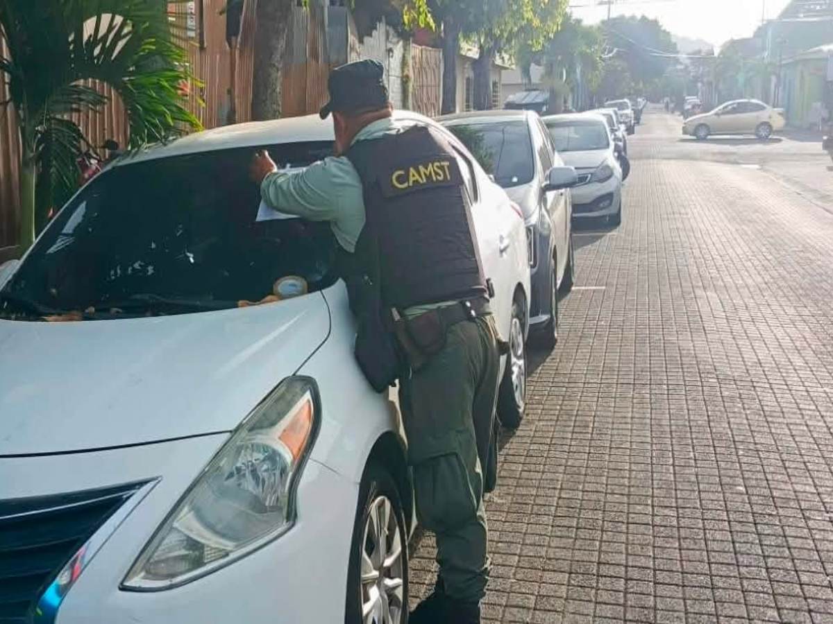 Vehículos-carros-CAM