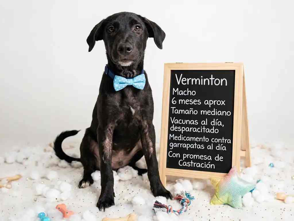 Con 6 meses
