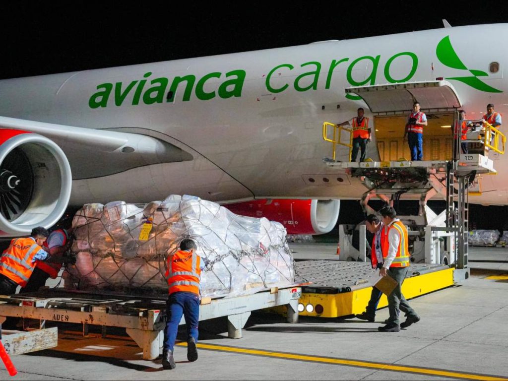 El cargamento incluye alimentos, artículos de higiene y productos de primera necesidad para familias afectadas por el terremoto de magnitud 7.4.