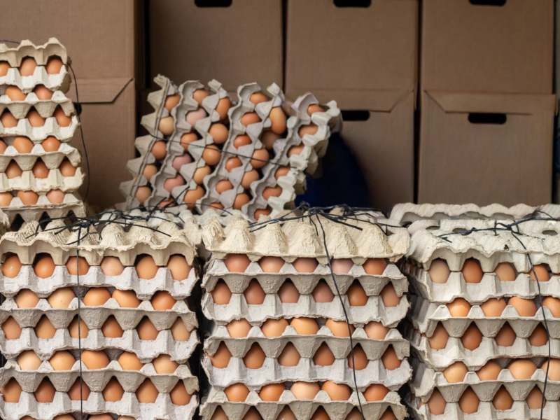 Productores de la zona paracentral han reportado pérdidas en sus cultivos debido a la falta de lluvias. Foto/ MAG