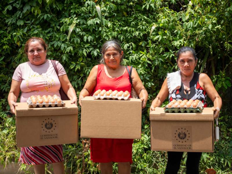 El Gobierno mantiene la entrega de canastas alimenticias a familias agricultoras de subsistencia de las zonas oriental y paracentral. Foto/ MAG
