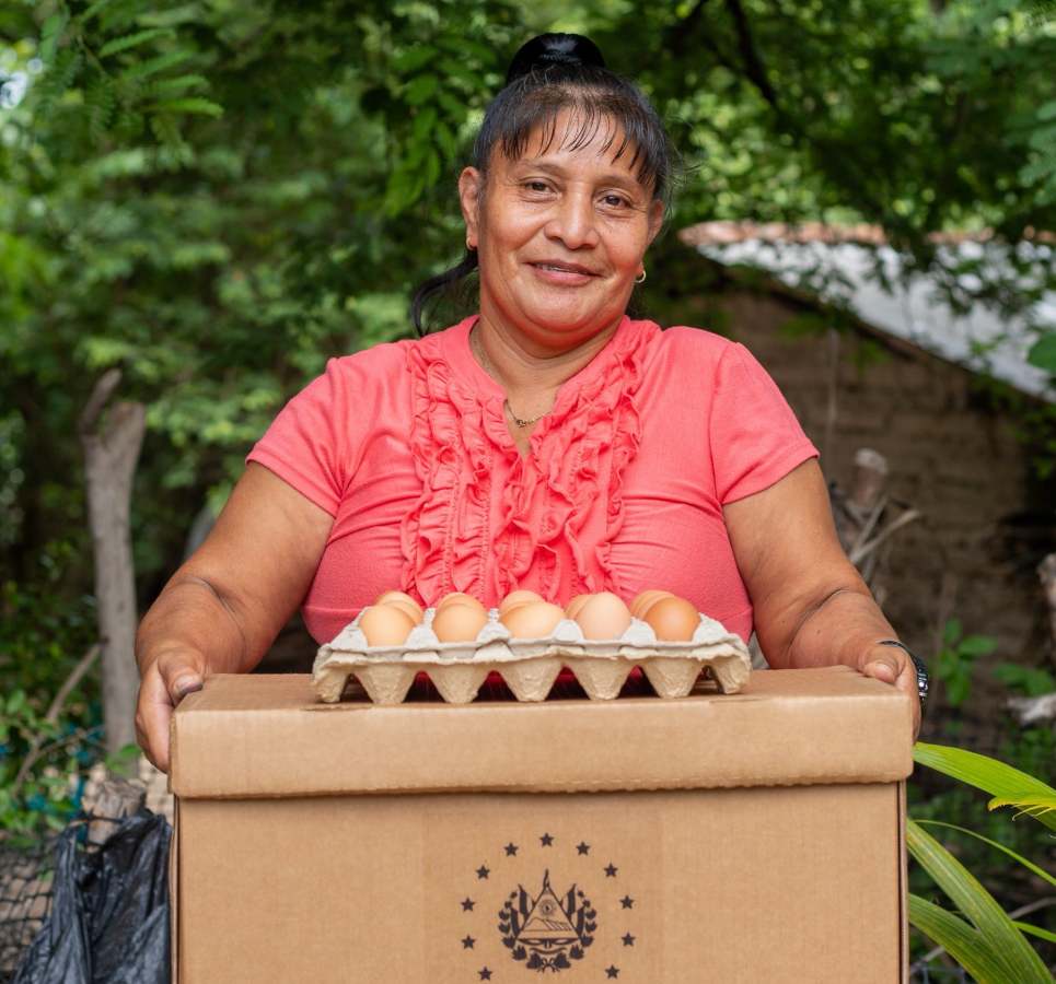 El MAG indicó que la asistencia también contempla acompañamiento técnico y acciones para proteger la producción agrícola. Foto/ MAG