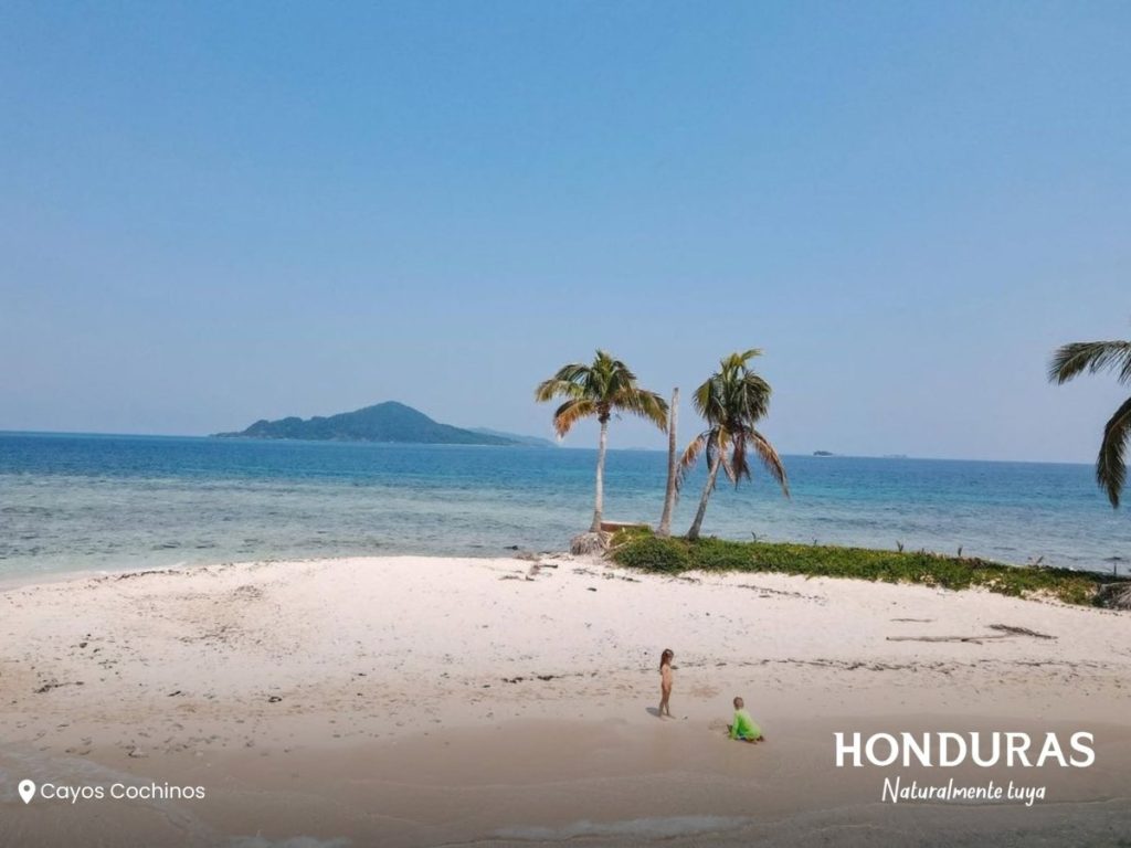 El esnórquel y el buceo permiten descubrir los arrecifes de coral y la riqueza marina que rodea las islas de Cayos Cochinos.