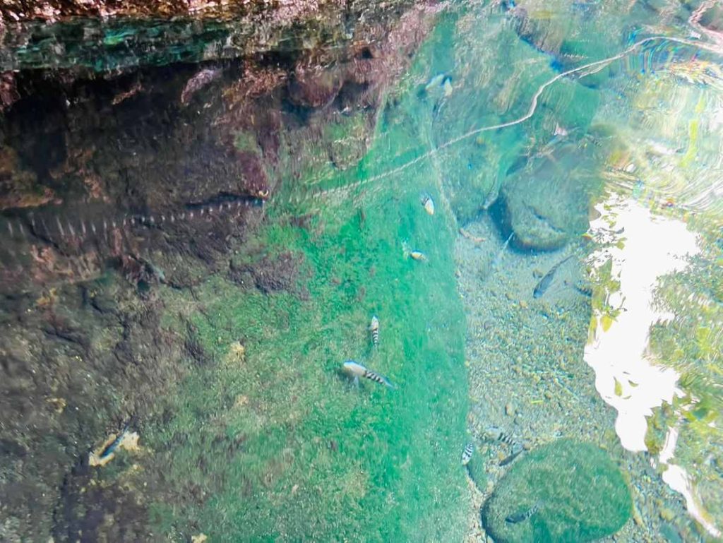 El balneario es una opción para disfrutar en familia y conocer uno de los atractivos naturales de Jutiapa.