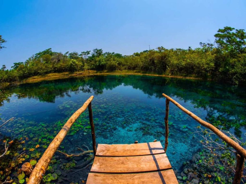 El recorrido atraviesa paisajes selváticos de Petén.