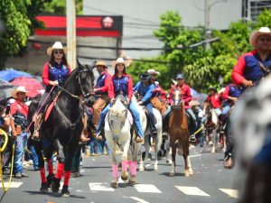 Ejemplares de diversas razas destacaron por su porte, entrenamiento y elegancia durante el recorrido.