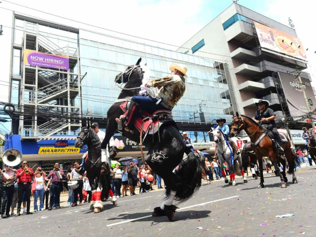Ejemplares de diversas razas destacaron por su porte, entrenamiento y elegancia durante el recorrido.