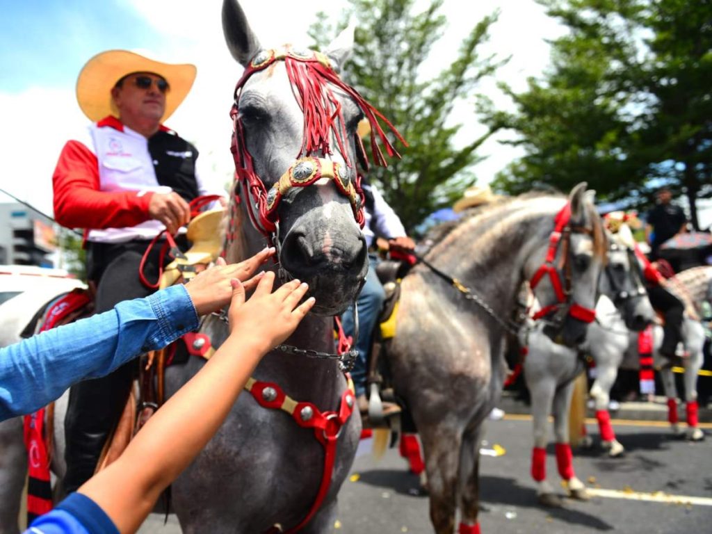 La cabalgata reunió a familias y visitantes en una jornada de turismo, convivencia y tradición.