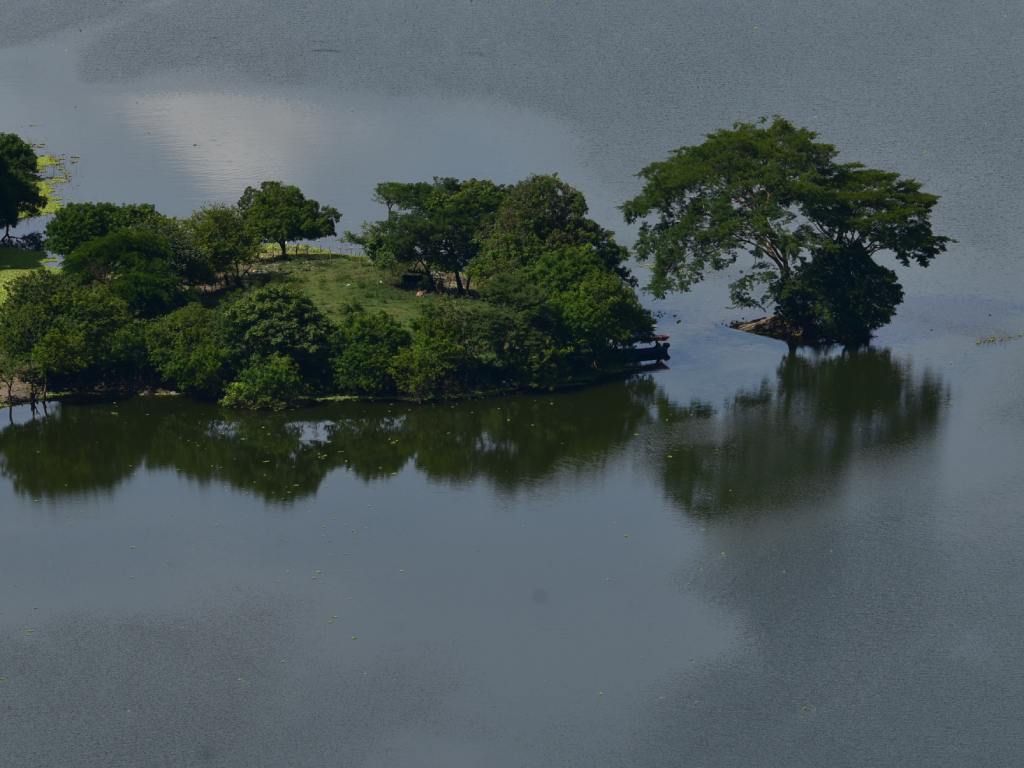 Grupo de pequeñas islas cubiertas de árboles y vegetación flotando pacíficamente en el lago.