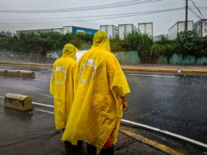 lluvias-merliot