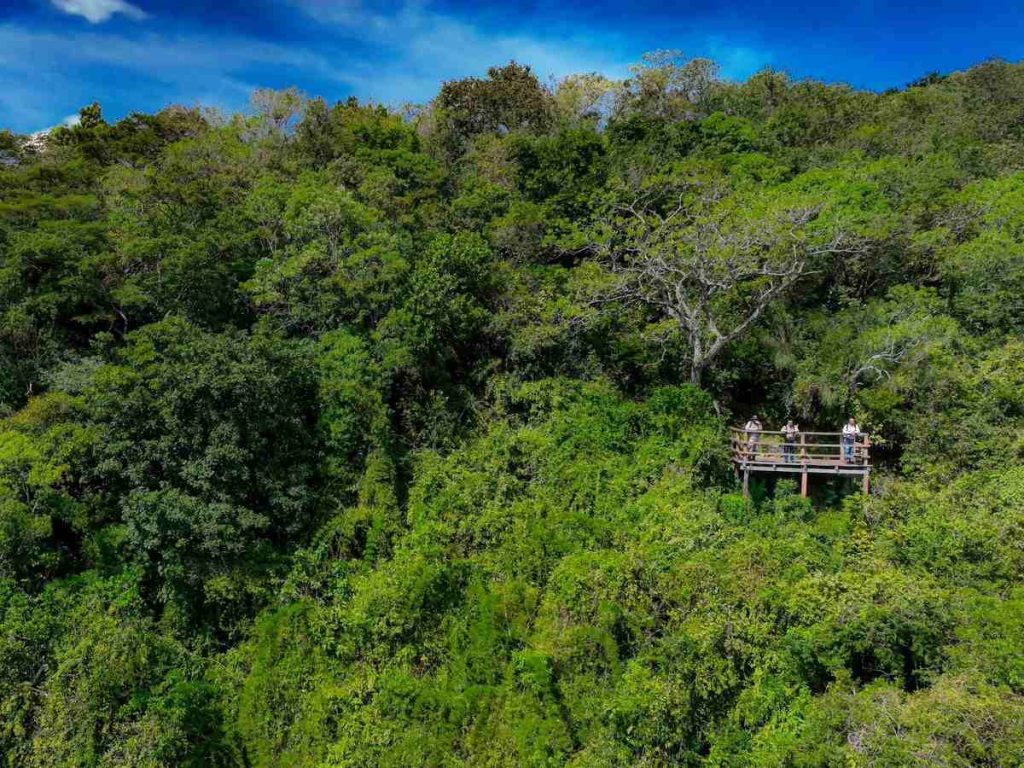 Si disfrutás observar aves, caminar entre bosques y alejarte por unas horas de la rutina, El Imposible es una escapada que tenés que vivir.