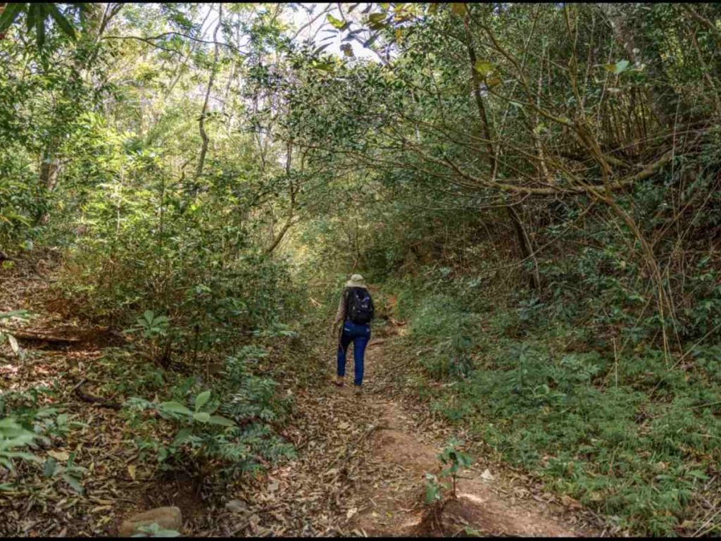 Cada ruta ofrece una experiencia distinta, con recorridos para diferentes niveles de dificultad y rincones ideales para conectar con la naturaleza.