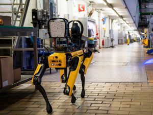 perros-robots-ice-estados-unidos