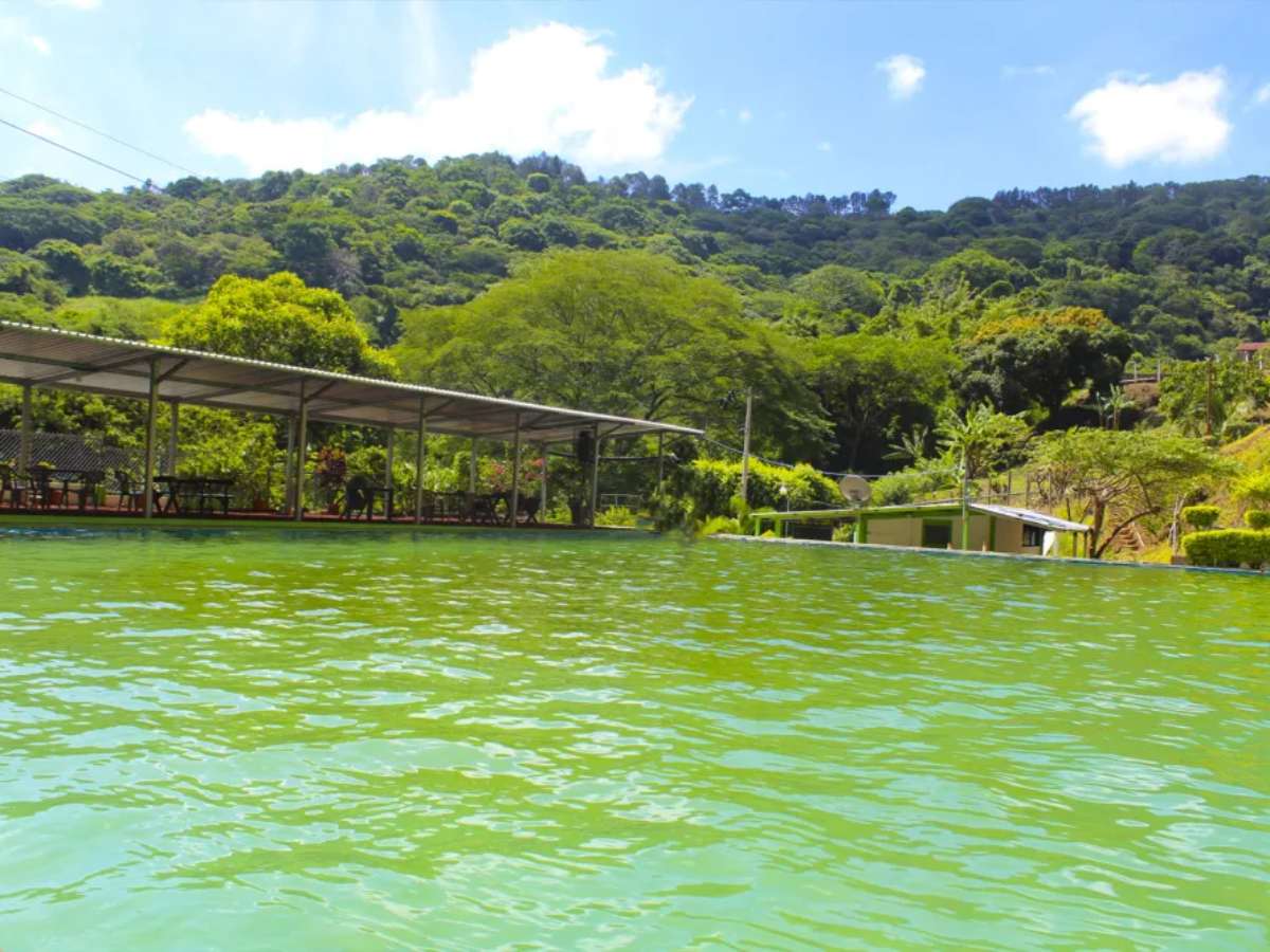 Piscina Nejapa es una opción para refrescarte y disfrutar de la naturaleza en familia o con amigos en Ahuachapán.