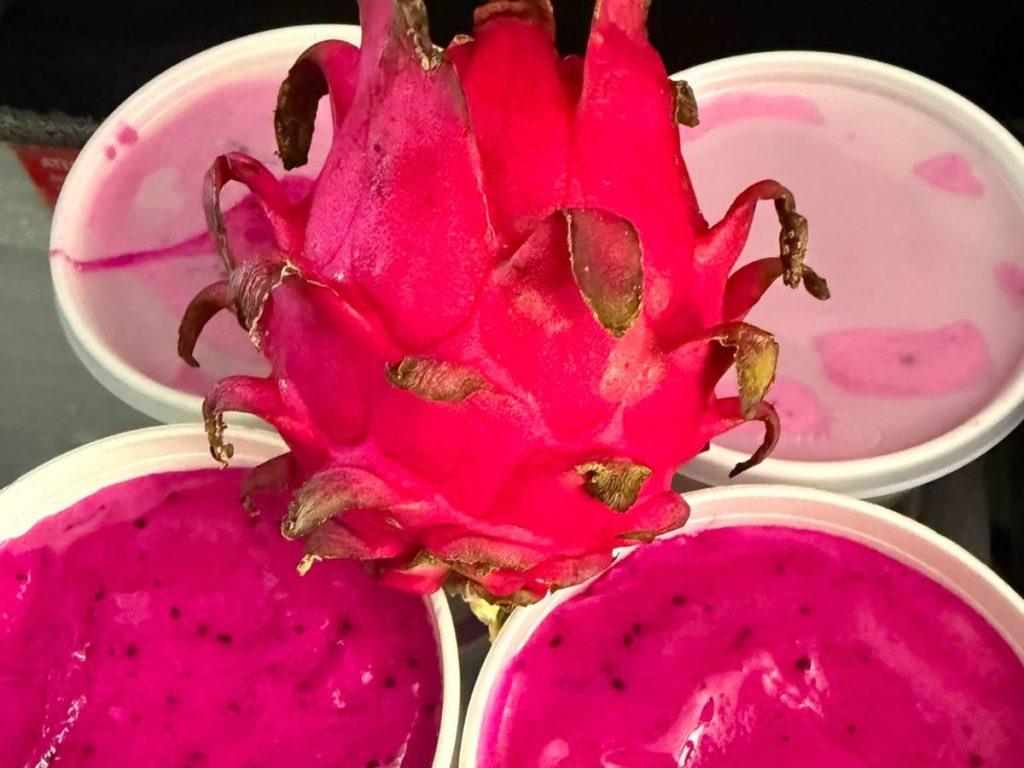 pitajaya-fiunca-fruta-del-dragon-Cristóbal Cruz