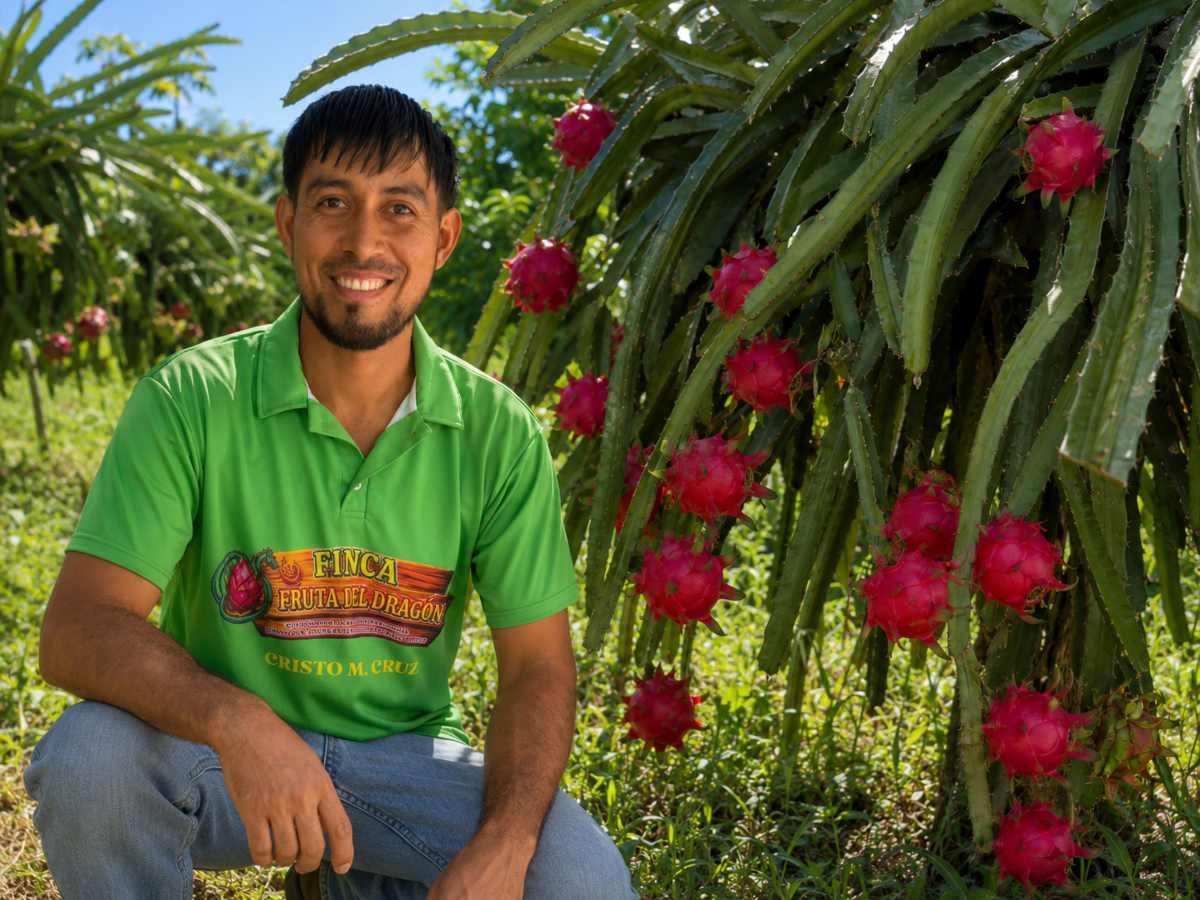 pitajaya-fiunca-fruta-del-dragon-Cristóbal Cruz
