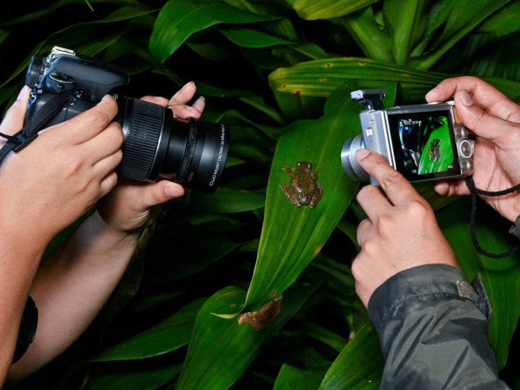 Los científicos costarricenses Mailyn Urena Chaves (izquierda) y Jonathan Navarro Picado (derecha), del Instituto Internacional para la Conservación y el Manejo de la Vida Silvestre (ICOMVIS) de la Universidad Nacional de Costa Rica (UNA)