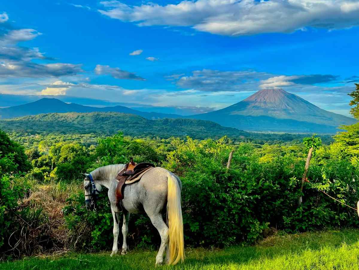 salvadoreno-regresa-emprende-restaurante-usulutan03
