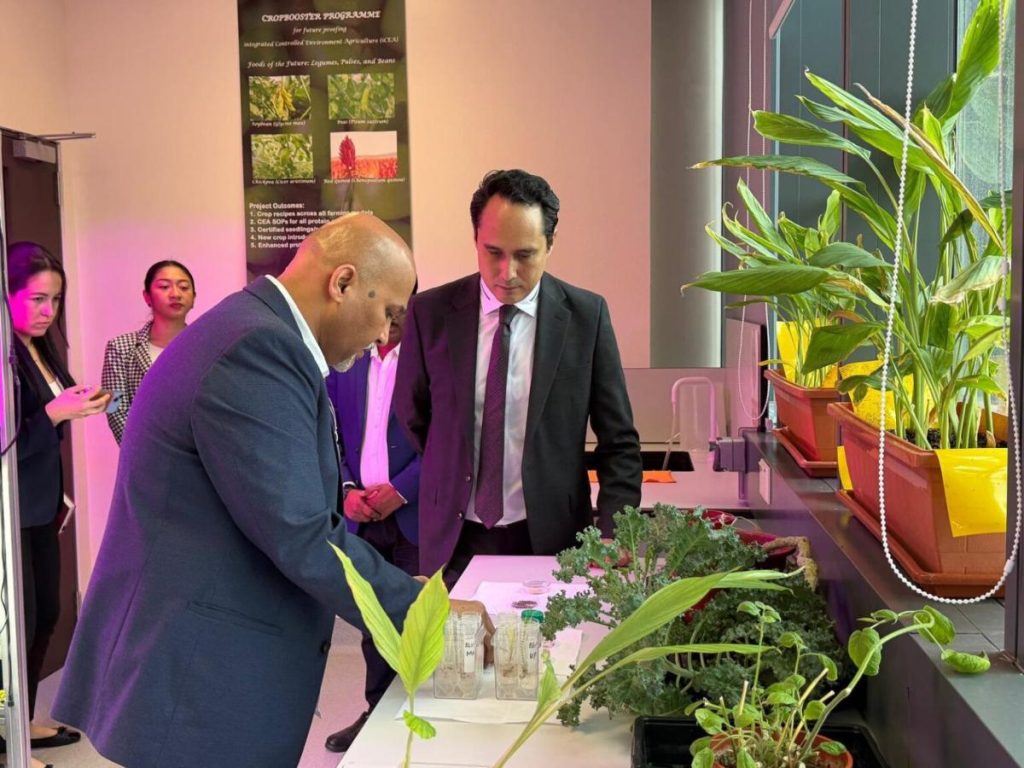 GRAIN International Pte. Ltd., empresa de Singapur especializada en biotecnología agrícola, expresó interés en explorar oportunidades de colaboración con El Salvador.