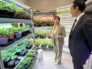 singapur-innovacion-agricola