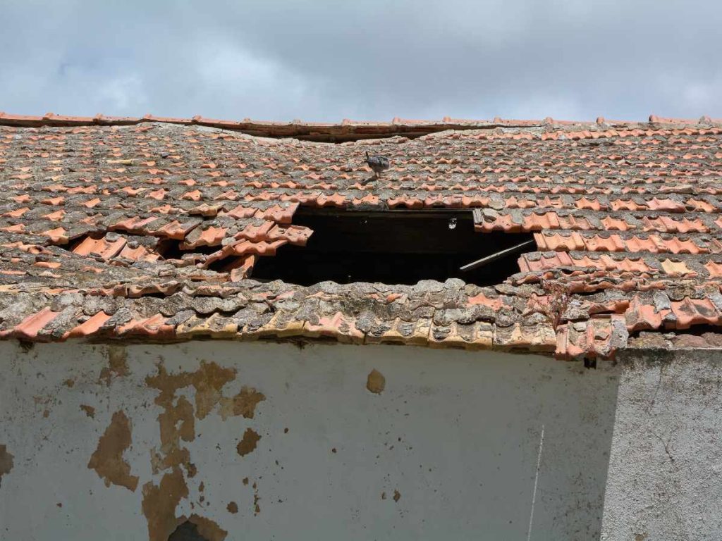 Medir y documentar las grietas permite identificar si cambian con el tiempo y aporta información útil al momento de solicitar una revisión profesional.