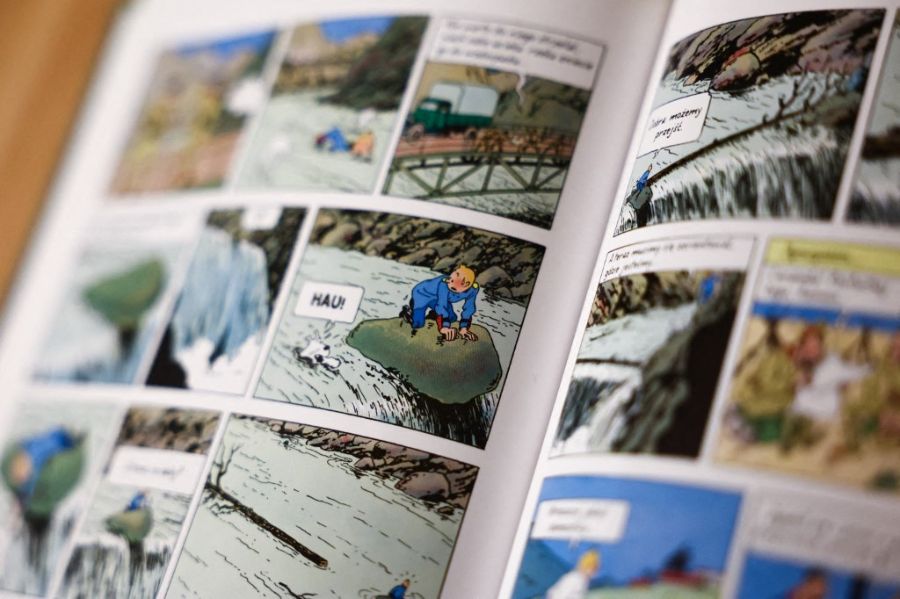 tintin analisis robbie ruud serie animada 03
