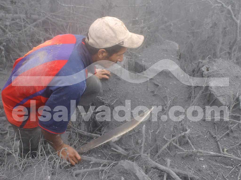 Un hombre con una camisa roja y azul y una gorra de béisbol de color claro está agachado en un campo cubierto de ceniza gris espesa, sosteniendo un machete y mirando hacia abajo a la vegetación dañada.