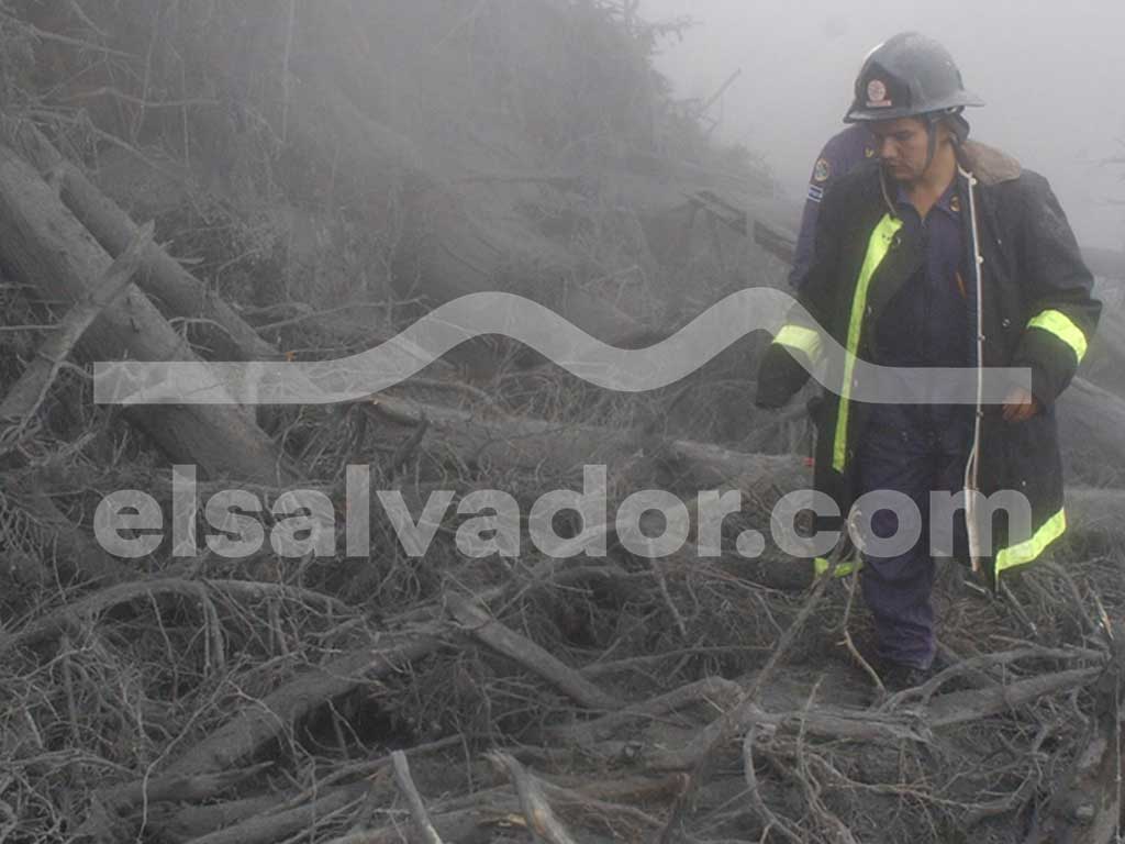Un bombero con un uniforme oscuro y casco camina a través de un denso campo de troncos y ramas de árboles caídos y carbonizados, cubiertos de ceniza gris, bajo una niebla brumosa.