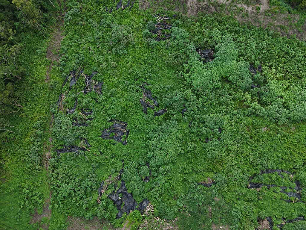 Perspectiva aérea de una de las zonas del predio que conserva vegetación, previo a las etapas intensivas de descapote y cimentación.