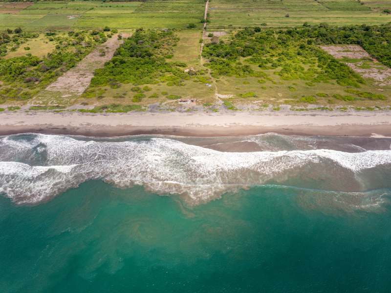 El complejo se convirtió en el primer sitio de El Salvador en formar parte de la Red Hemisférica de Reservas para Aves Playeras.