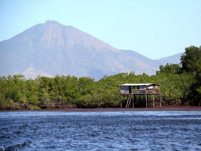 Manglares, estuarios, planicies intermareales y playas arenosas forman parte del mosaico de ecosistemas de Bahía de Jiquilisco.