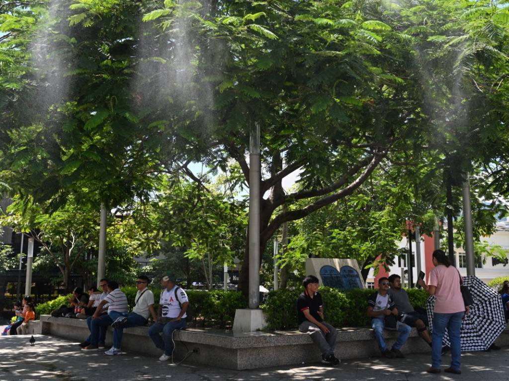 Peatones descansando bajo la sombra fresca de los árboles en un parque o plaza pública.