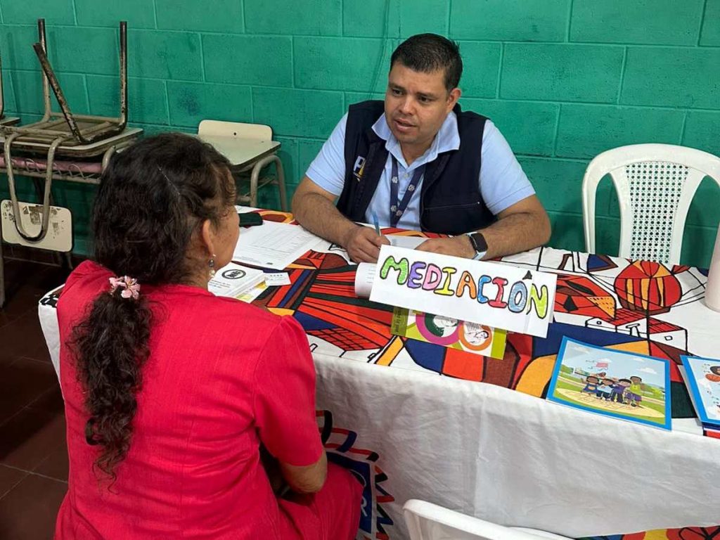 Conflicto-PGR- Ley Orgánica de la Procuraduría General de la República