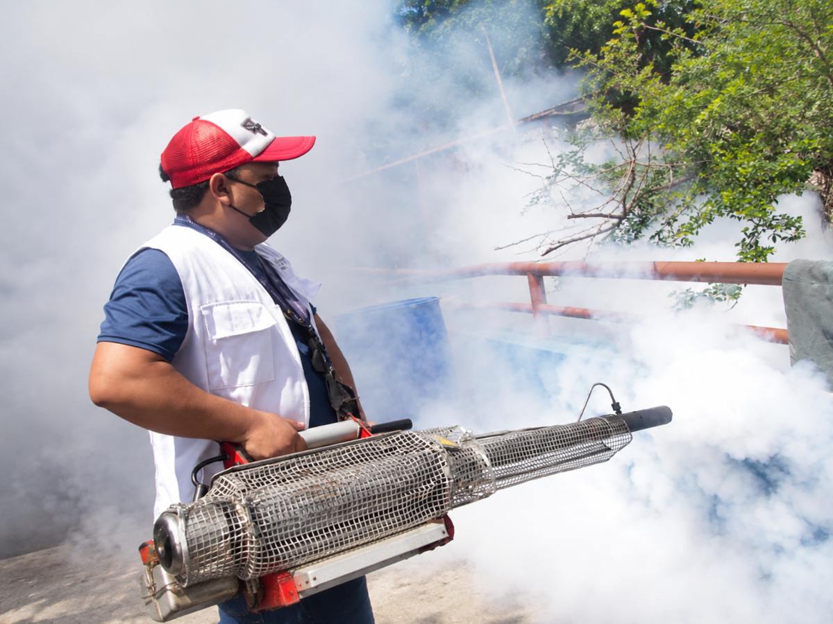 fumigación gratuita - fumigación - dengue - zika - chikungunya - Aedes aegypti - zancudos