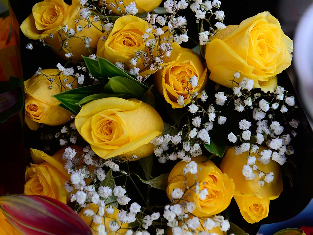 Primer plano de un denso ramo de rosas amarillas brillantes con detalles de pequeña gipsófila blanca.