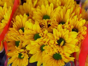 JO--Venta-de-flores-amarilla-015