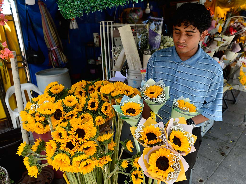 Clientes recorriendo distintos puestos de venta y floristerías en El Salvador para elegir flores amarillas.