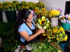 JO-Venta-de-flores-amarilla-04