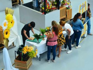 Así se vive el Festival de las Flores Amarillas en San Miguelito
