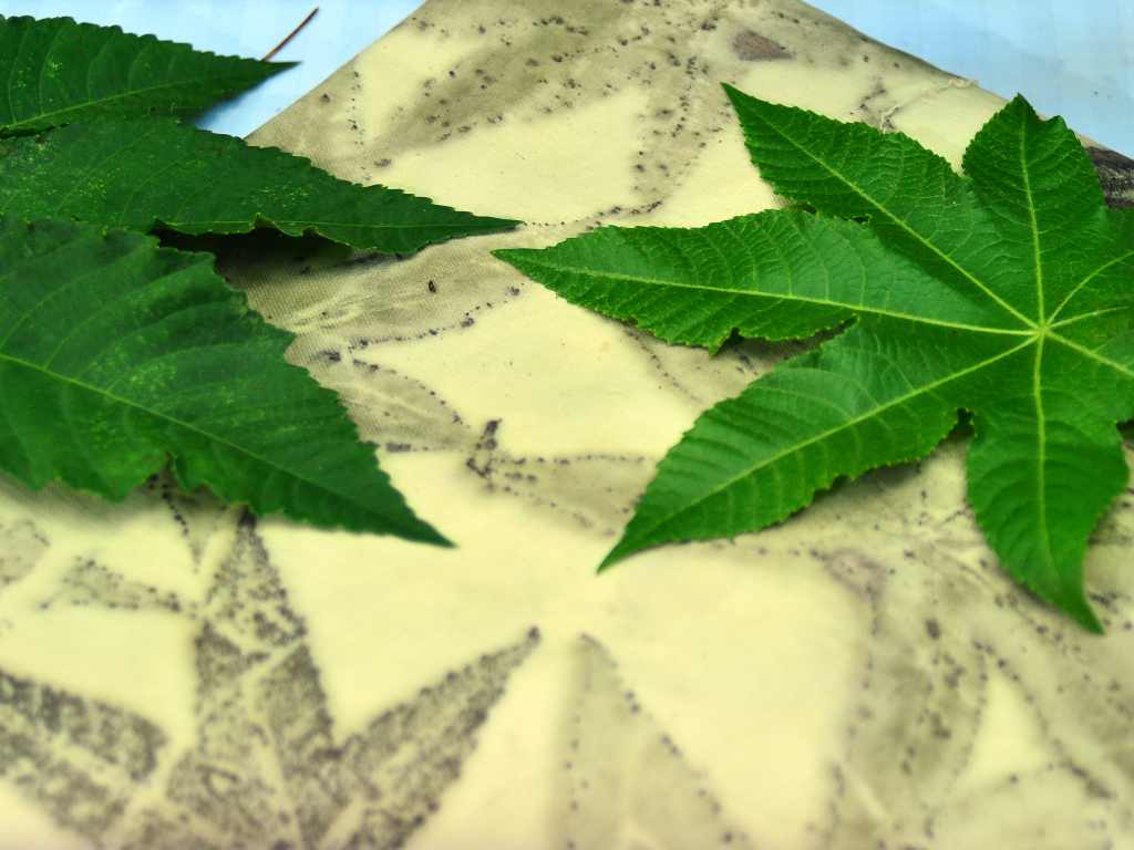 Detalle del proceso de estampado donde se aprecia la huella de la hoja de higuero sobre el tejido de algodón.