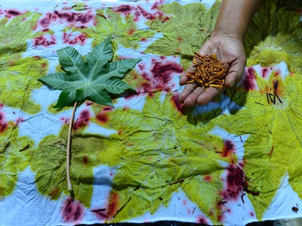 Muestra de textil botánico teñido de forma natural que refleja la evolución de las técnicas artesanales de Funes.