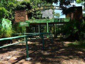 Inicia intervención en las instalaciones del ex Zoológico Nacional