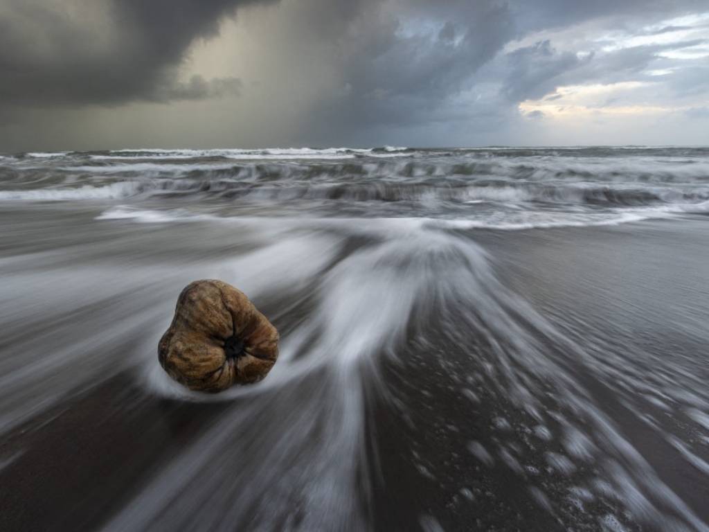 Persona caminando al amanecer en la orilla de la playa del Parque Nacional Tortuguero, Costa Rica.