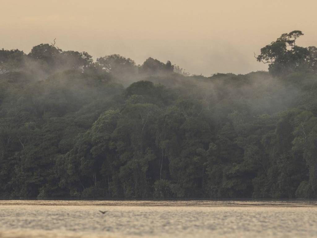 Lancha de transporte navegando por los canales fluviales hacia el pueblo de Tortuguero, Costa Rica.