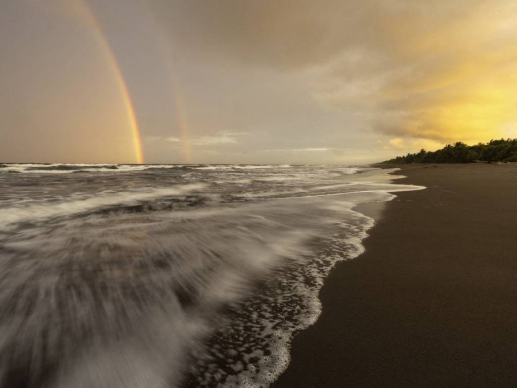 Extensa playa de arena oscura en el Parque Nacional Tortuguero, Costa Rica.