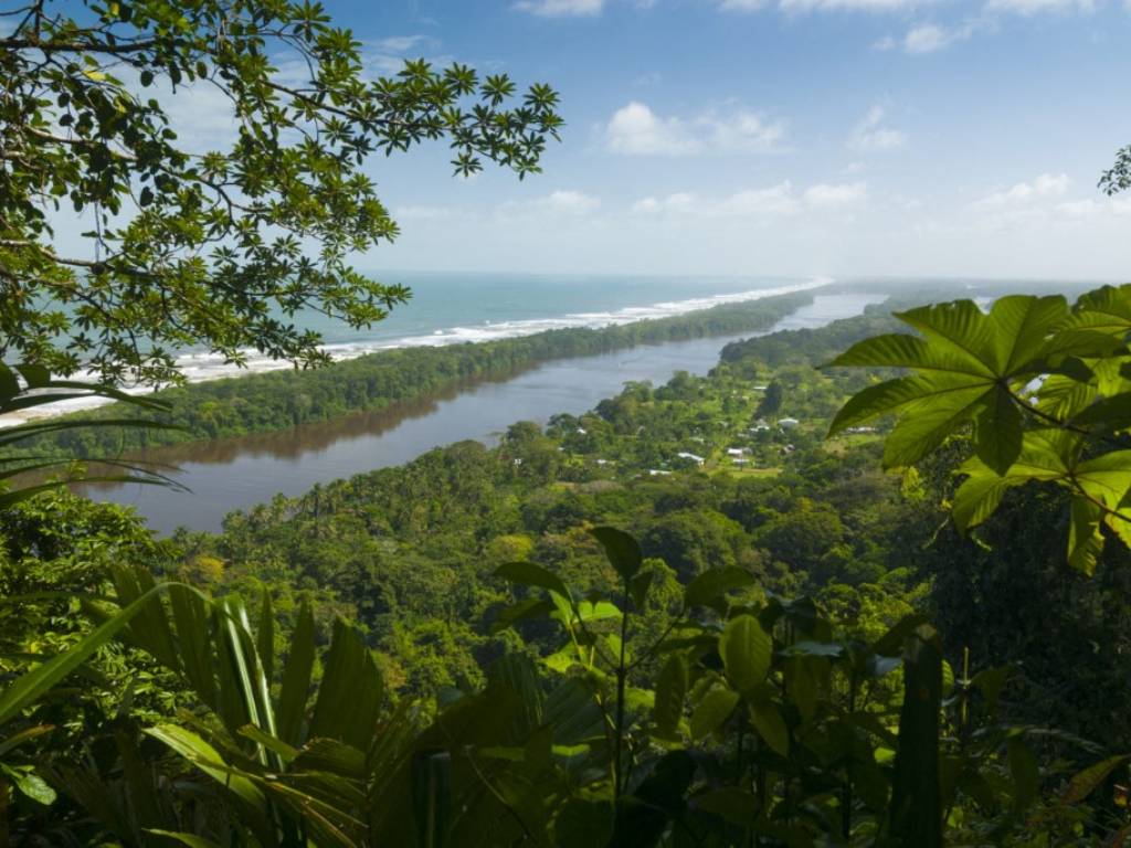 Canales fluviales y selva tropical en el Parque Nacional Tortuguero, sitio principal de anidación de la tortuga verde en Costa Rica.